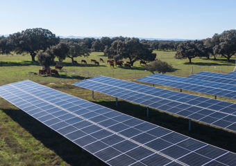 Panneaux solaires